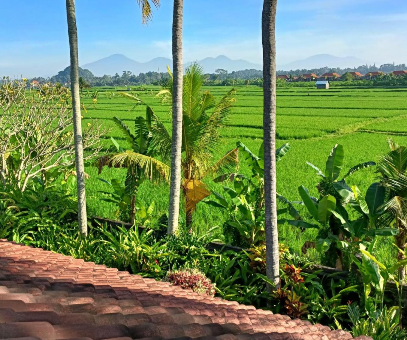 Runa House Of Design Ubud  Exterior photo